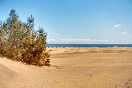Maspalomas Dunes, Grand Canary Island, HDR Imageの写真素材