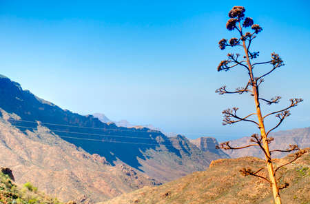 Tejeda and the Grand Canary Island highlands, HDR Imageの写真素材