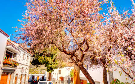 Tejeda and the Highlands of Grand Canary island, HDR Imageの写真素材