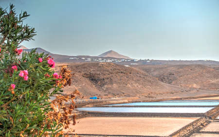 Volcanic Coastline in Lanzarote, HDR Imageの写真素材
