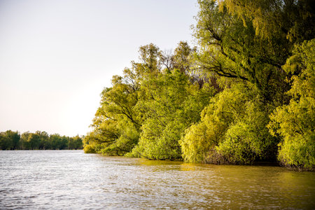 Danube Delta Landscape, Romaniaの写真素材