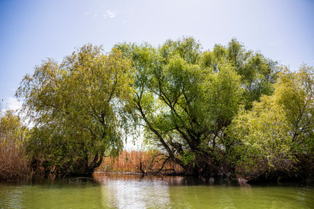 Danube Delta Landscape, Romaniaの写真素材