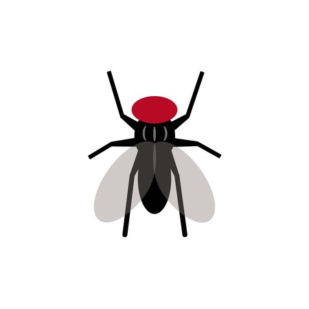 simple fly vector isolated on white backgroundのイラスト素材