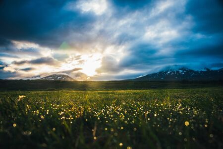 Beautiful cloudy sky during sunset with green field and mountains in background, Icelandの写真素材