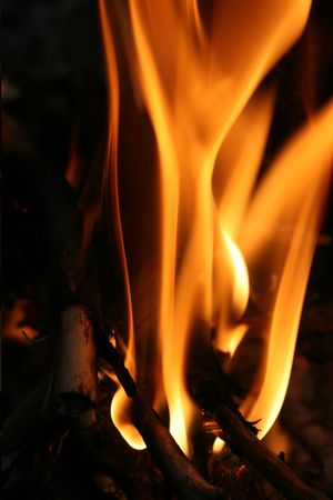 fire