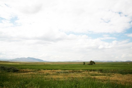 Green field and blue sky background