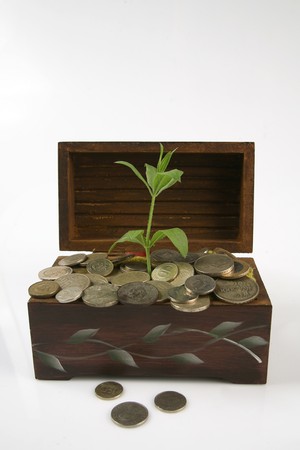 capital and nature, man is a lifestyleの写真素材