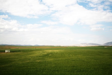 Green field and blue sky backgroundの写真素材