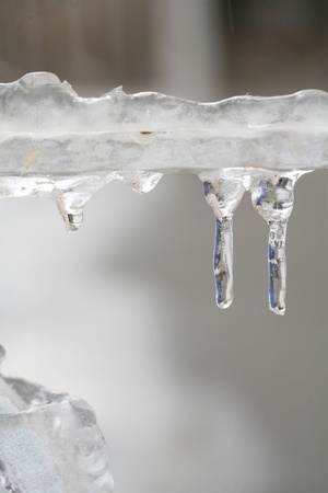 snow in winter on the leaves of trees and beautiful imageの写真素材