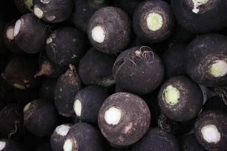 radish backgroundの写真素材