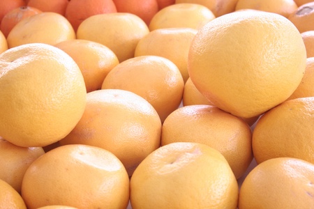 A beautiful image of a healthy fruitの写真素材