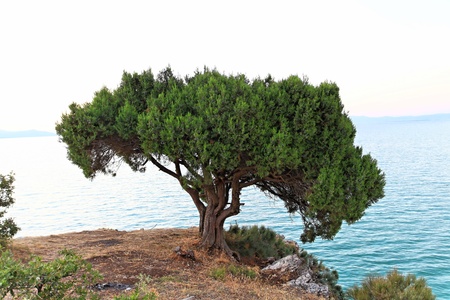 beysehir lakeの写真素材