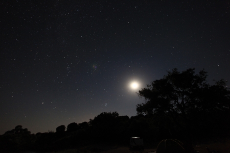 stars and planets
