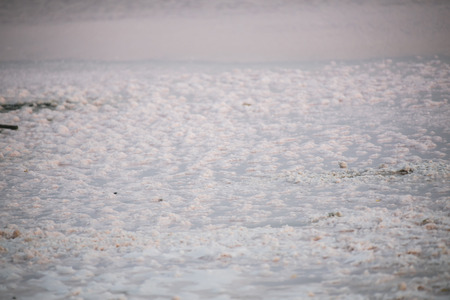 Live at sunset in Salt Lakeの写真素材