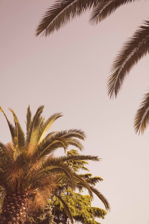 holiday timeの写真素材