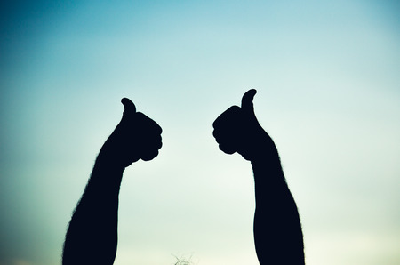 Silhouette of a team of people hands shows gesture okの写真素材