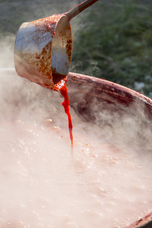 tomato pasta backgroundの写真素材