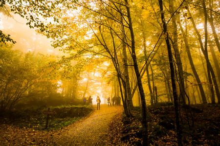 Autumn landscape imageの写真素材