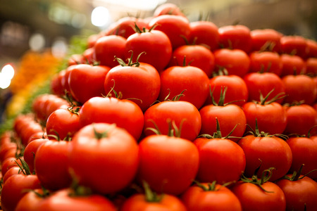 fresh tomatoesの写真素材