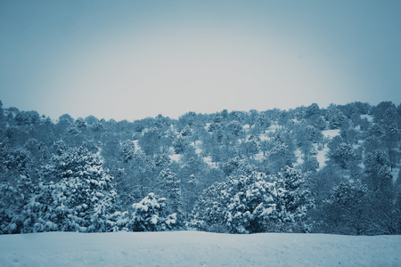 Winter view of the villageの写真素材