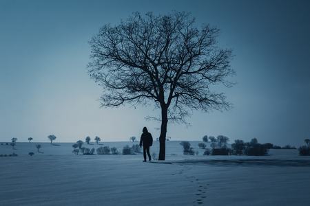 in the winter snow mountains and trees.の写真素材