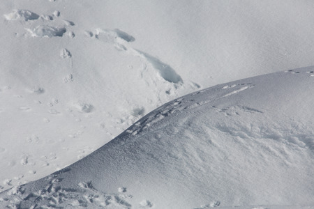 in the winter snow mountains and trees.の写真素材