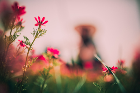 free women in the springの写真素材