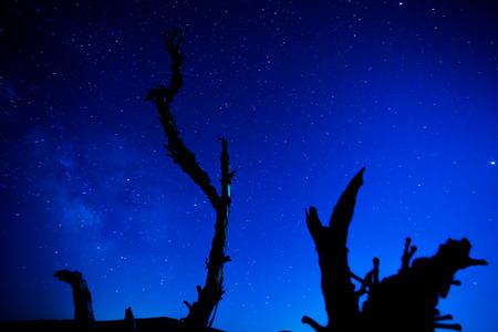 long exposure of the stars at night