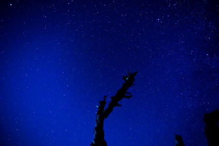 long exposure of the stars at nightの写真素材