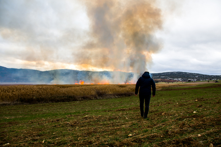 littering reeds near the lakeの写真素材