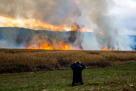 burning field photo with man feeling frustratingの写真素材