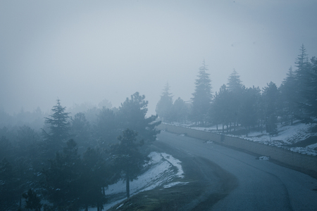 A view from the winter seasonの写真素材