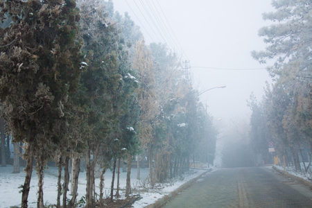 A view from the winter seasonの写真素材