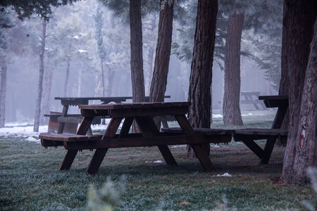 A view from the winter seasonの写真素材