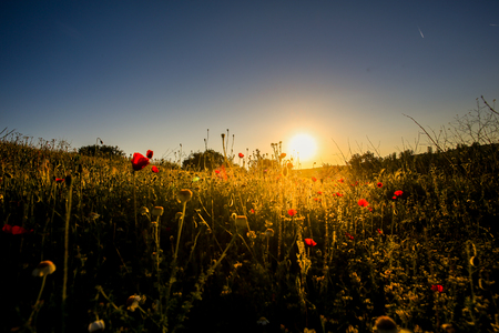 landscapes in the springの写真素材