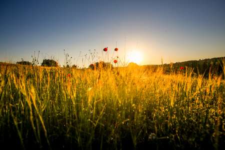 landscapes in the springの写真素材