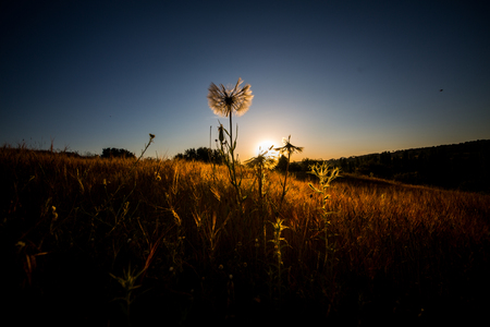 landscapes in the springの写真素材