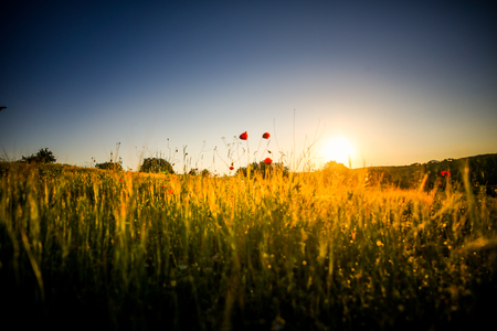 landscapes in the springの写真素材