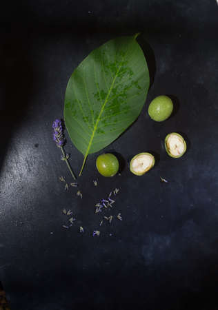 Compositions of green walnut on special dark groundの写真素材
