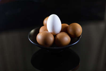 photo shoots of the egg with lights and contrats