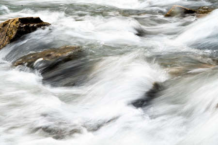 River cascades in the forestの写真素材