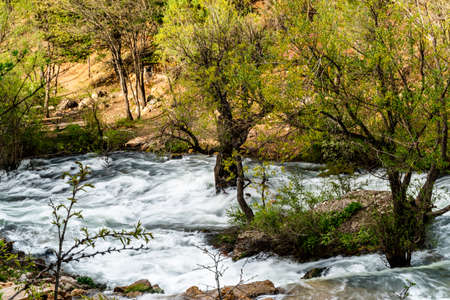 River cascades in the forest