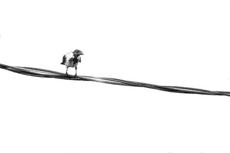 photo of crescent moon and street lamp with ramadan evening feelingの写真素材