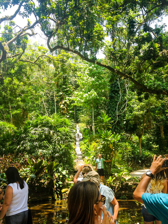 Jardim Botanico Botanic Garden Rio De Janeiroのeditorial素材
