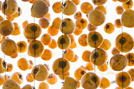 Sun drying persimmons on the ropeの写真素材