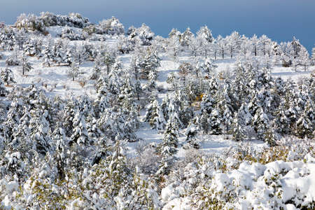 Winter scene in Armeniaの写真素材