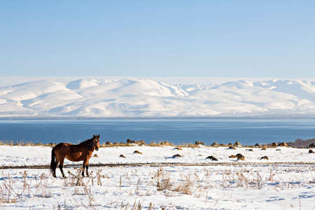 Lake Sevan in winter, Armeniaの写真素材