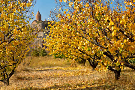 Khor Virap Monastery through autumn leaves of apricot trees, Armenia