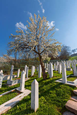 Muslim cemetery, Kovaci, dedicated to the victims of the Bosnian war, in Sarajevo, Bosnia and Herzegovinaのeditorial素材