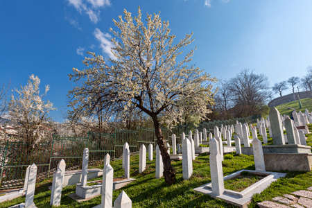 Muslim cemetery, Kovaci, dedicated to the victims of the Bosnian war, in Sarajevo, Bosnia and...